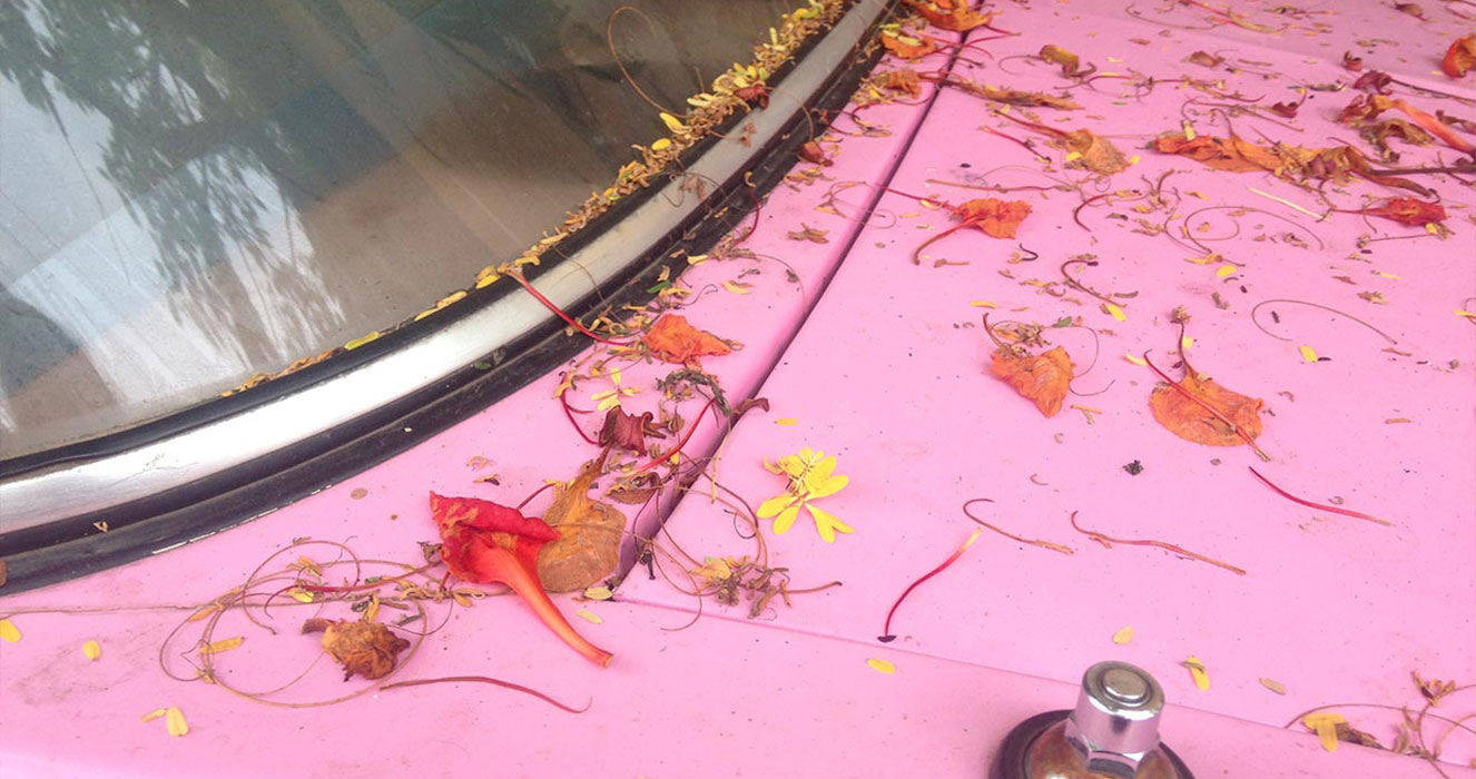 pink car in india — colour inspiration for sula clothing