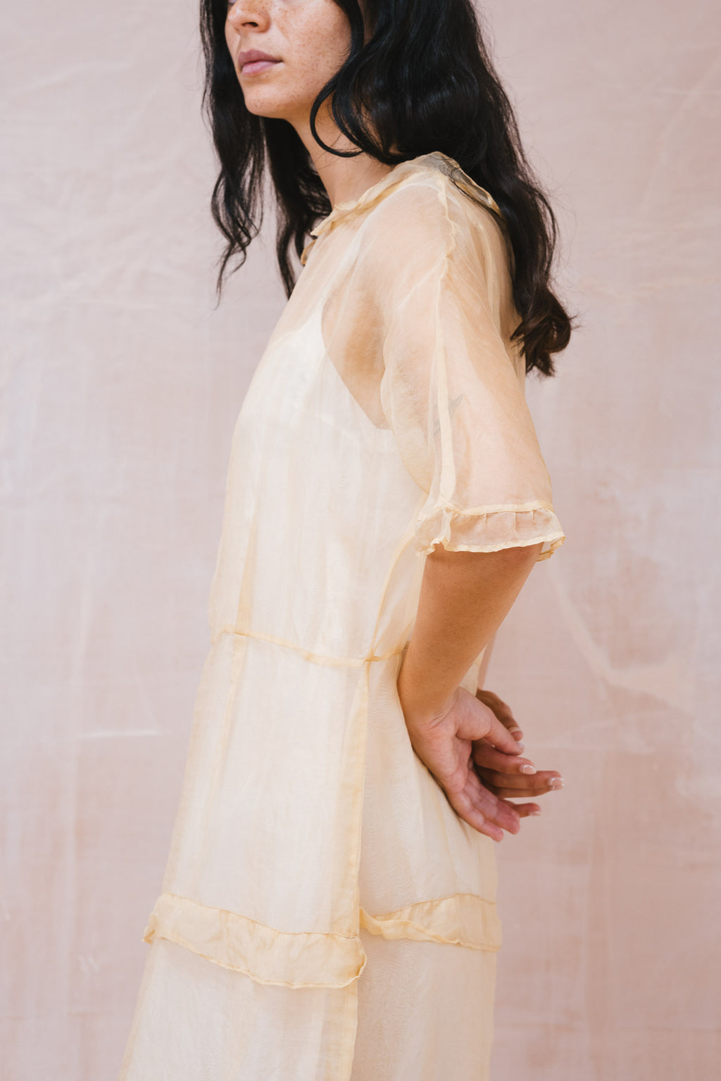 amazing dress organza
