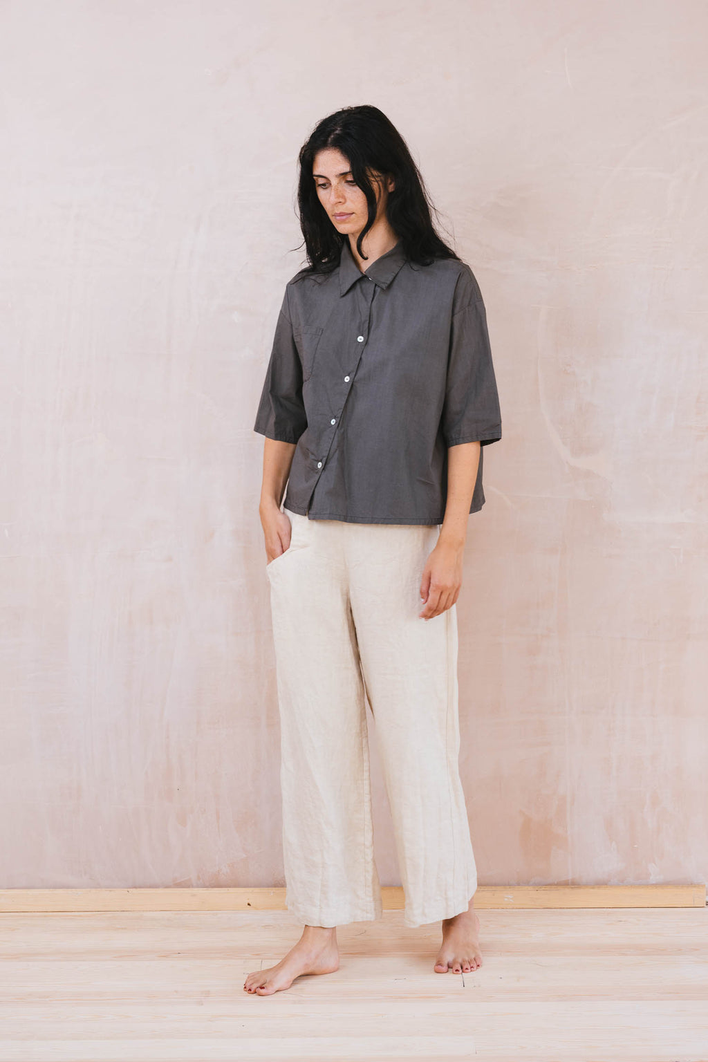 clean new shirt cotton poplin