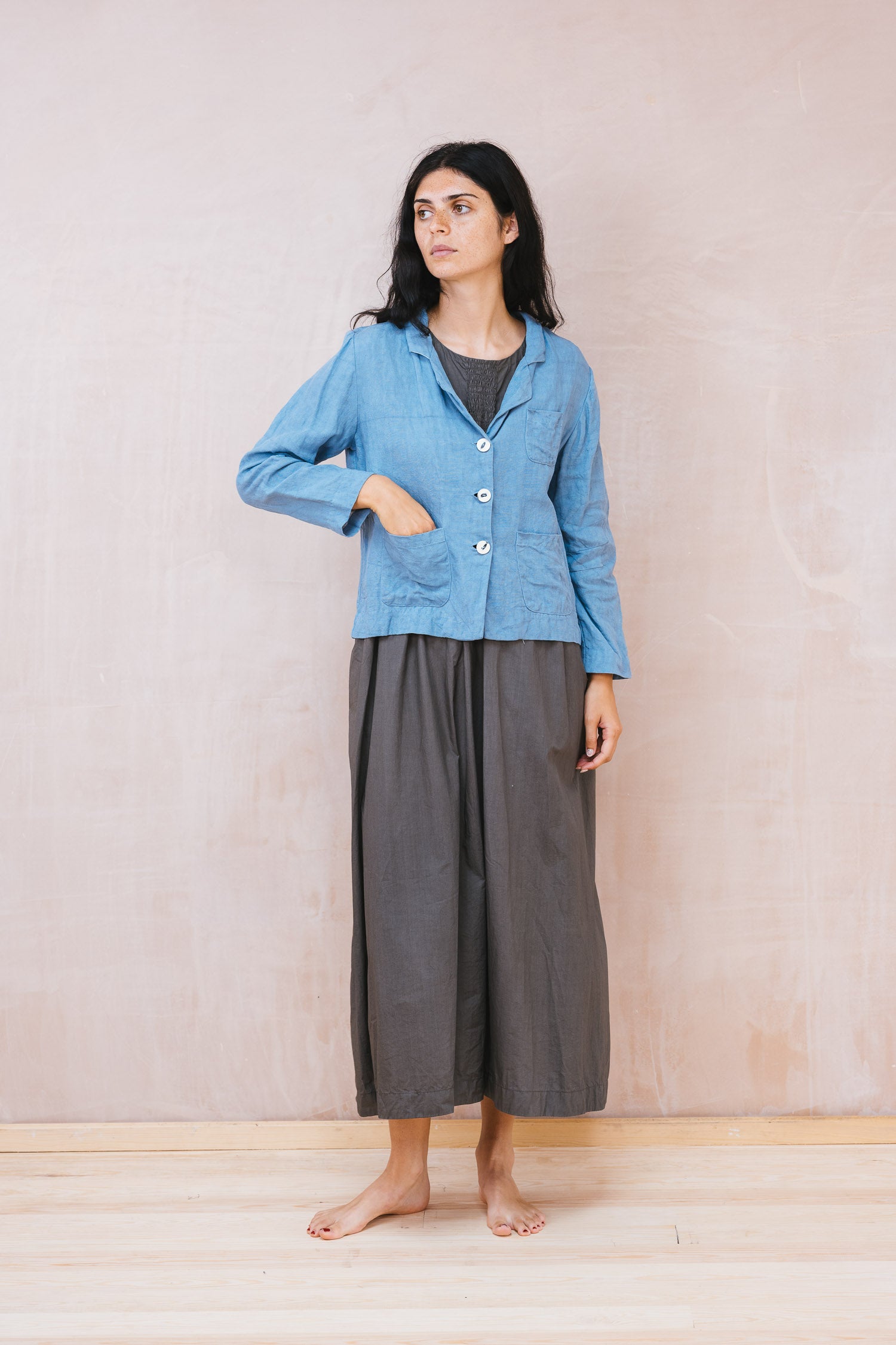stanley jacket linen