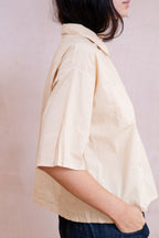 sale clean new shirt cotton poplin