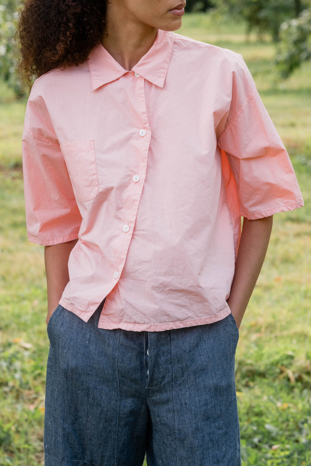 sale clean new shirt cotton poplin