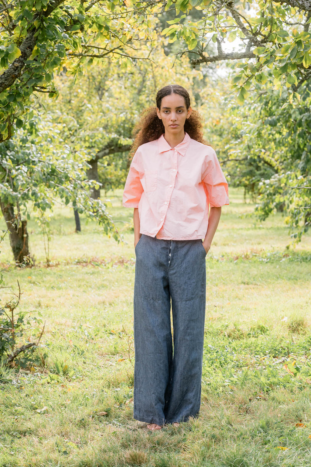 sale clean new shirt cotton poplin