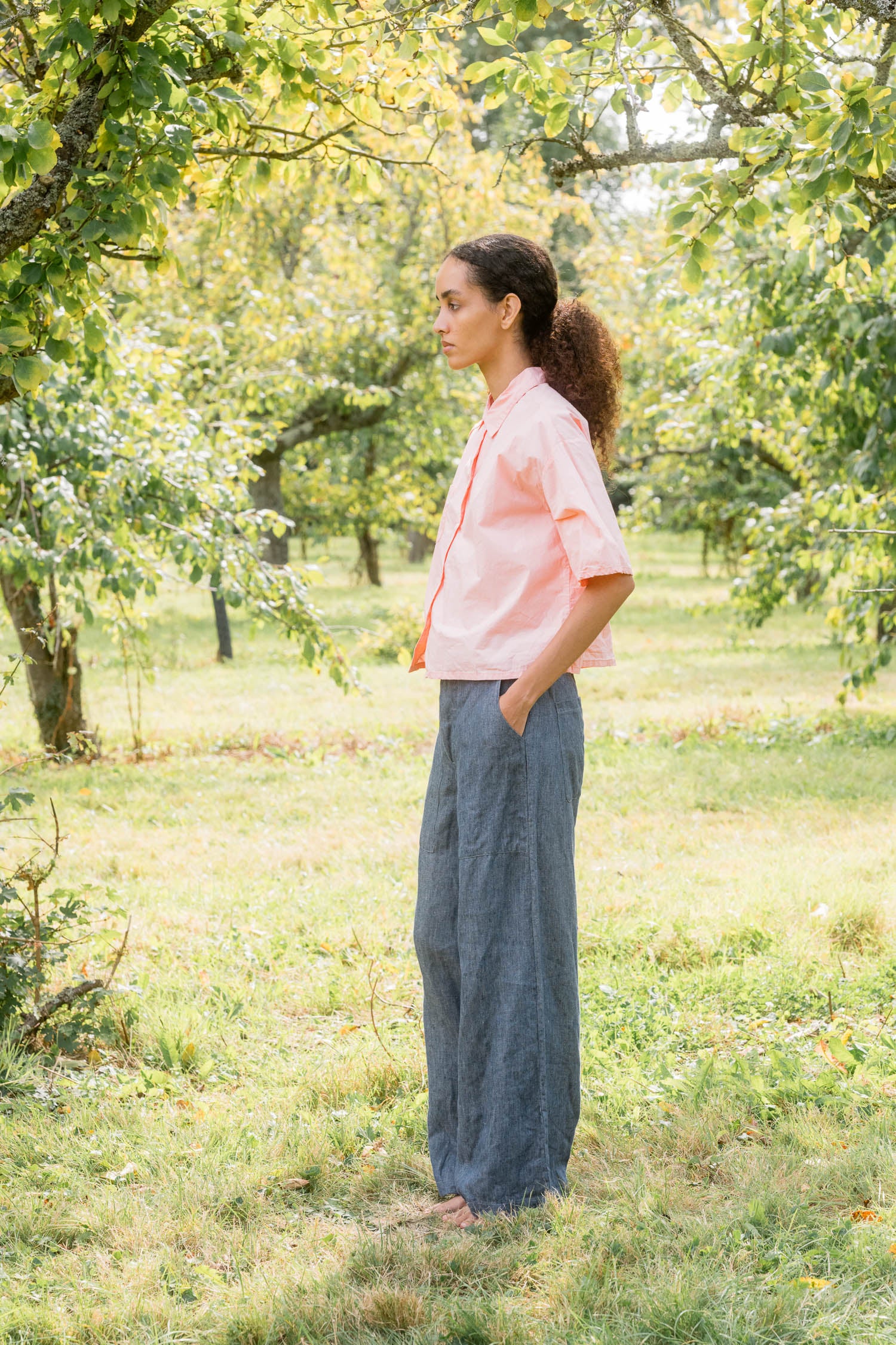 sale clean new shirt cotton poplin