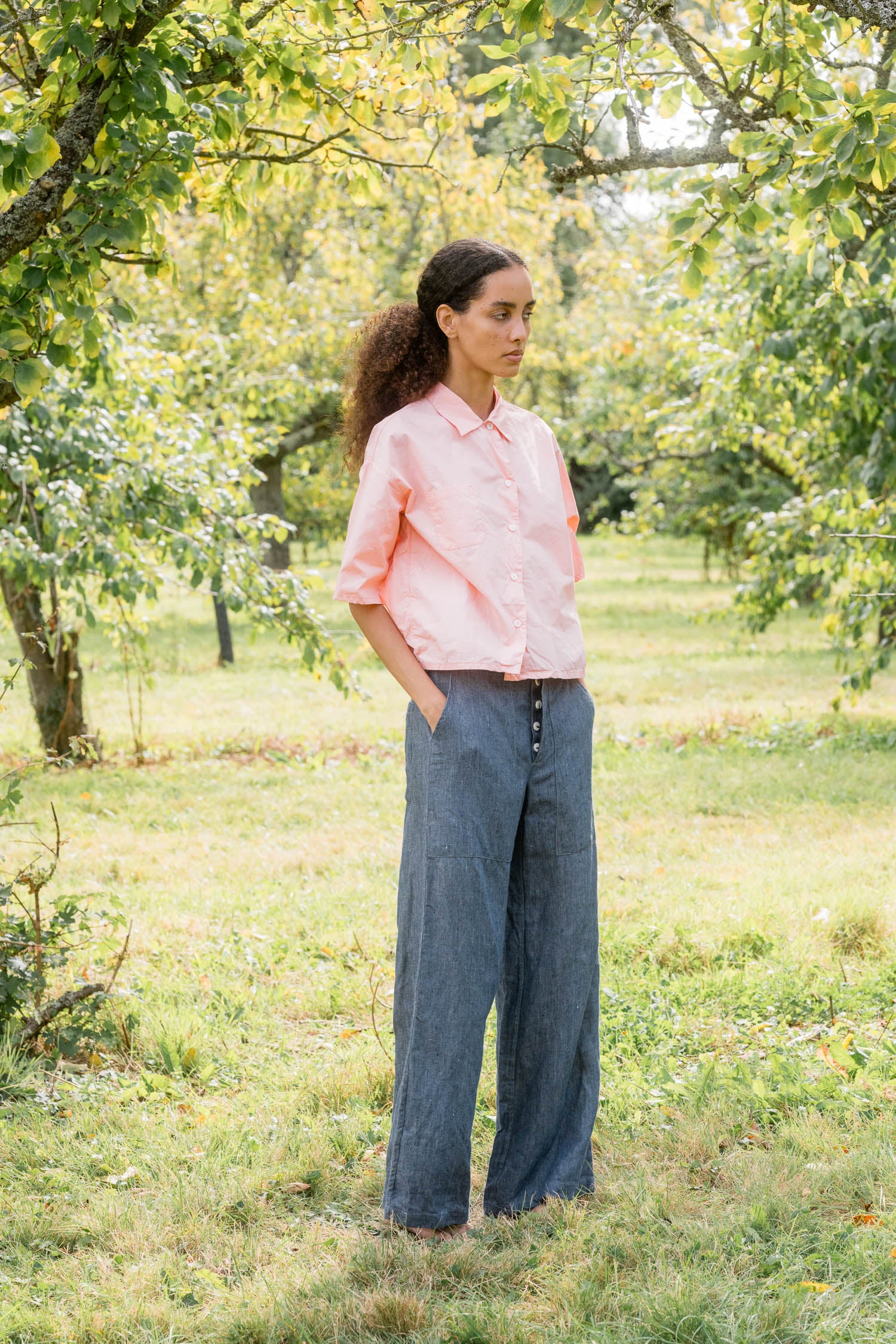 sale clean new shirt cotton poplin