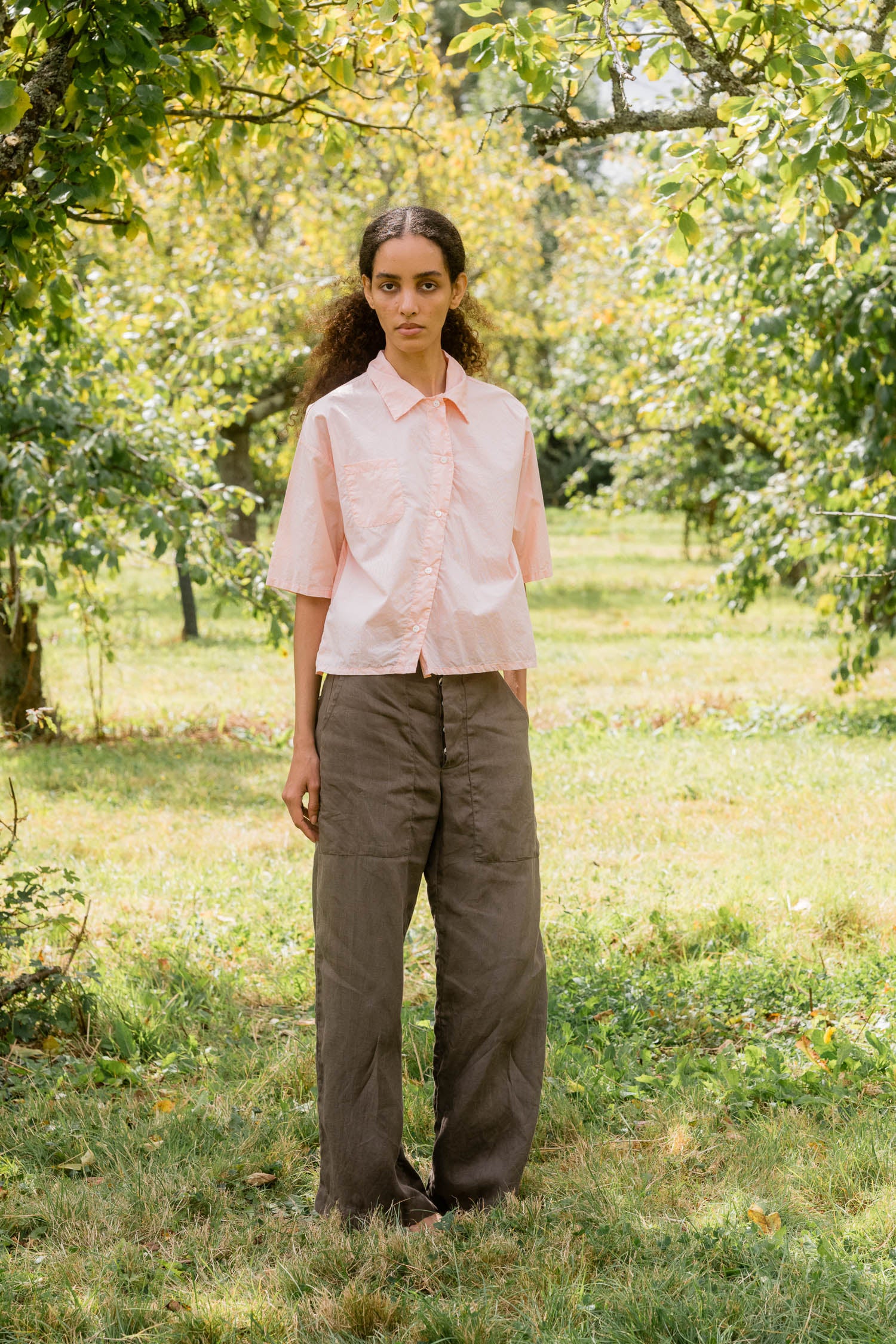 sale clean new shirt cotton tiny check
